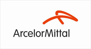 ARCELOR MITTAL NIPPON STEEL LTD